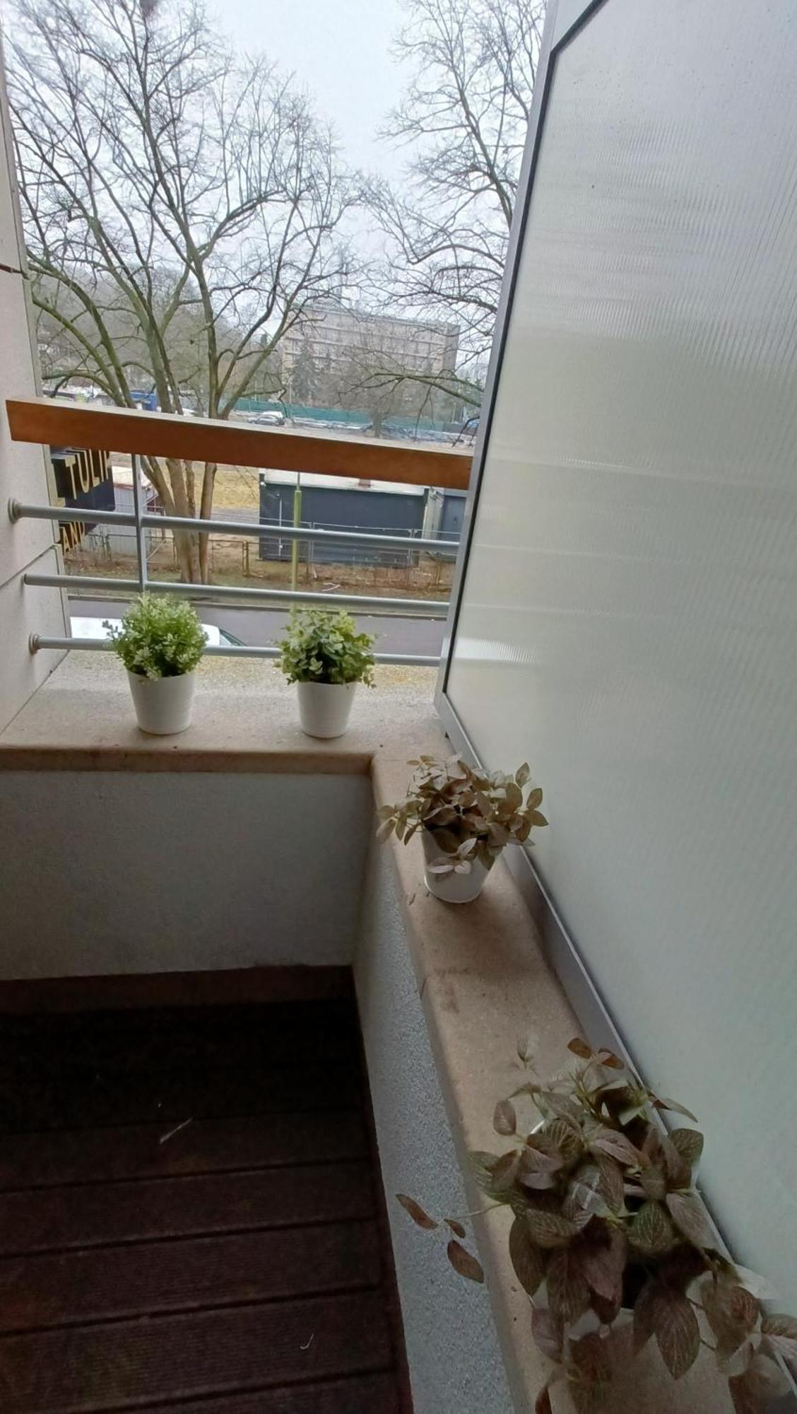 120 W 5 Gwiazdowym Royal Tulip Sand 200 M Od Plazy Dobruk Apartamenty Kolobřeh Exteriér fotografie